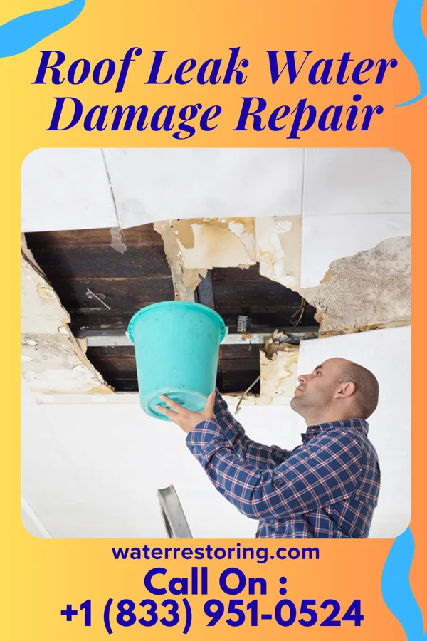Roof Leak Water Damage Repair in Fayetteville, TN