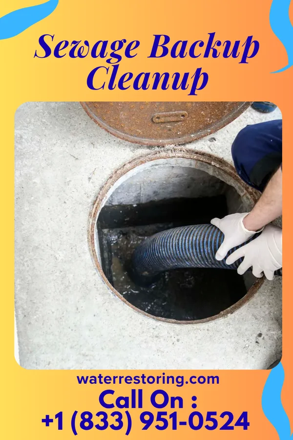 Sewage Backup Cleanup in Fayetteville, TN