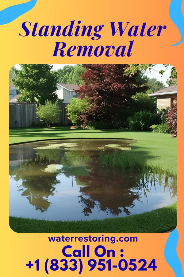 Standing Water Removal in Fayetteville, TN